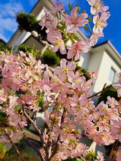 20250324-3.jpg